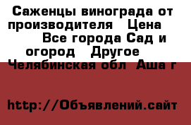 Саженцы винограда от производителя › Цена ­ 800 - Все города Сад и огород » Другое   . Челябинская обл.,Аша г.